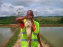 un poisson chat