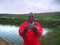 un poisson Tilapia Nilotica