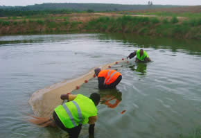Un bassin piscicole BPH Agricole Congo